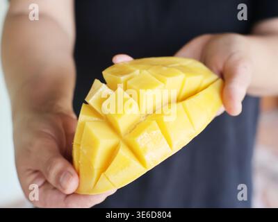 Un mango giallo dorato maturo, tagliato a cubetti, tenuto in mano. Foto Stock