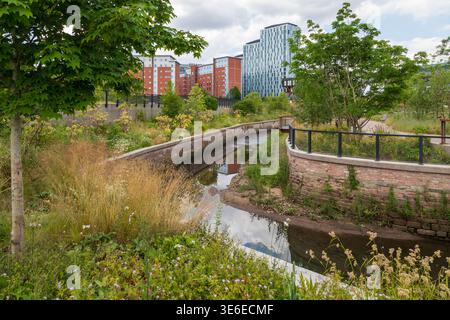 Il canale River Medlock all'interno di Mayfield Park, Manchester, con piantagioni di fiori selvatici e nuove torri residenziali oltre, in estate. Foto Stock
