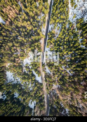 Veduta aerea di una strada stretta che attraversa la foresta del Giura, con fitti alberi sempreverdi, macchie di neve e luce invernale frizzante in un paesaggio remoto Foto Stock