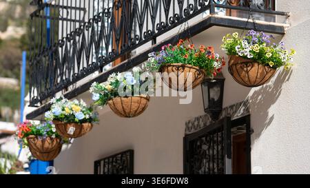 Cesti di fiori appesi sul balcone della facciata della casa Foto Stock