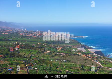La vista costiera mostra Puerto de la Cruz a Tenerife, dove lussureggianti piantagioni di banane verdi incontrano l'Oceano Atlantico. Edifici colorati e scogliere frastagliate fr Foto Stock