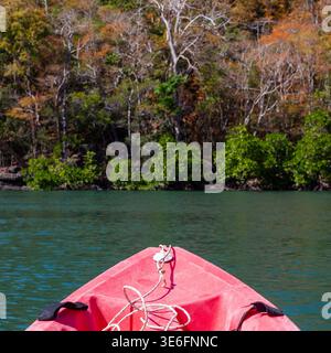 Koh Tarutao. Kayak attraverso le mangrovie in un parco nazionale marino tropicale. Tranquillo paesaggio isolano, acque cristalline e vegetazione lussureggiante. Foto Stock