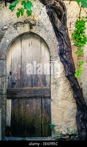Vecchia porta rustica in un edificio in stucco con una vecchia vite che cresce accanto ad essa Foto Stock