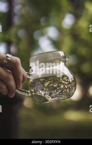 Una persona sta tenendo in mano una caraffa di vetro trasparente riempita di acqua fresca e pura su uno sfondo verde vivace e lussureggiante Foto Stock