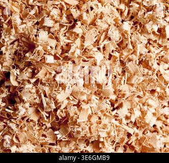 Segatura di trucioli di legno spazzolati in un mucchio in primo piano Foto Stock