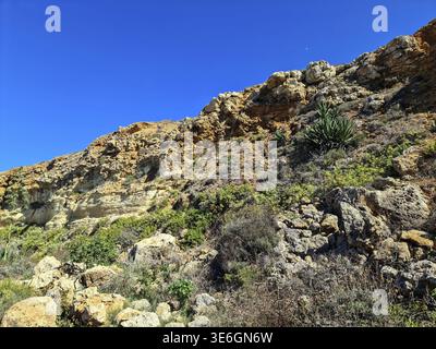 Vista ad angolo basso di un paesaggio roccioso con vegetazione, caratterizzato da una ripida formazione rocciosa a strati contro un cielo azzurro, tipico della costa maltese Foto Stock