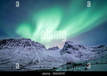 Aurora Boreale, Grotfjord, Troms, Norvegia Foto Stock