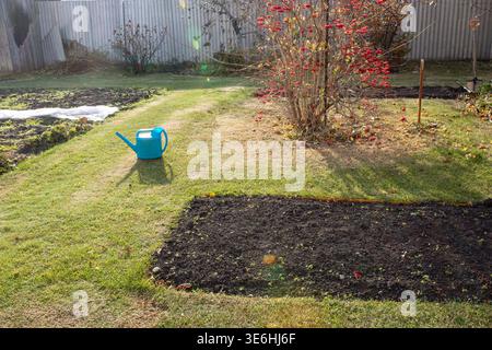 La pentola da irrigazione blu si trova sull'erba verde vicino al cespuglio rosso di rowan e alle aiuole vuote nel cortile autunnale Foto Stock