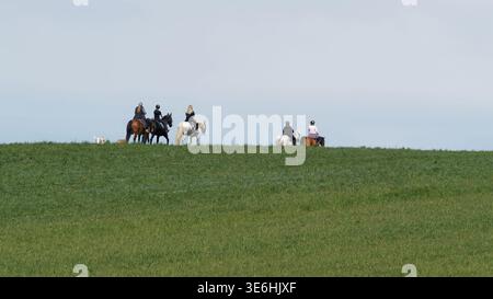 Gruppo di equestri che cavalcano cavalli attraverso un rigoglioso prato verde sotto un cielo azzurro Foto Stock