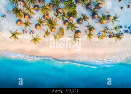 Vista aerea di ombrelloni, palme sulla spiaggia di sabbia Foto Stock