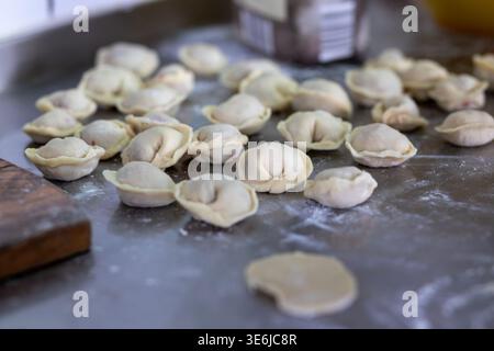 Gruppo di gnocchi crudi fatti a mano ricoperti di farina bianca su un bancone di metallo in cucina durante il processo di preparazione degli alimenti. Foto Stock
