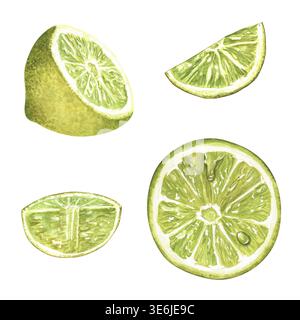 Mini set di agrumi di lime acquerello: Mezzo lime con gocce di succo, fetta, cuneo, quarto. Elementi isolati. Illustrazione dipinta a mano per imballaggi, etichette, Foto Stock