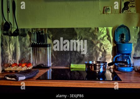 Moderna cucina casalinga con spruzzi in acciaio inox, pentola a induzione e macchina per il caffè, interni accoglienti. Foto Stock
