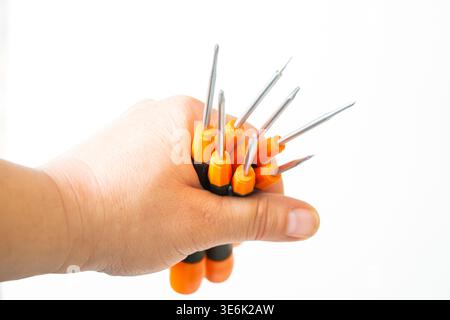Set di cacciaviti con teste diverse Foto Stock
