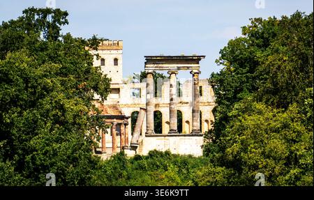 Facciata in rovina di un palazzo classico con alte colonne di pietra che si innalzano sopra una fitta foresta verde in una giornata di sole, vista distante con spazio per le copie nel cielo. Foto Stock