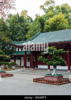 Tradizionale architettura Cinese con tetto verde e colonne rosse che circondano un cortile con un albero bonsai scolpito. La scena rappresenta il cultu asiatico Foto Stock