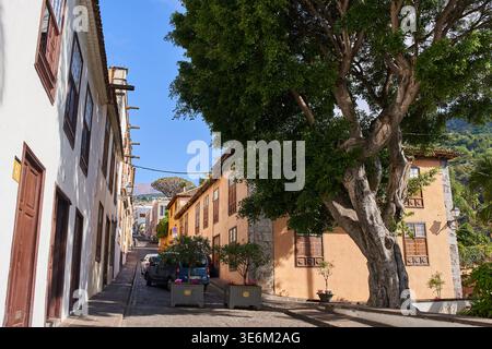 ICOD DE LOS VINOS, TENERIFE, SPAGNA – 4 GIUGNO 2025: Una strada acciottolata nel centro storico di Icod de los Vinos con edifici tradizionali delle Canarie Foto Stock