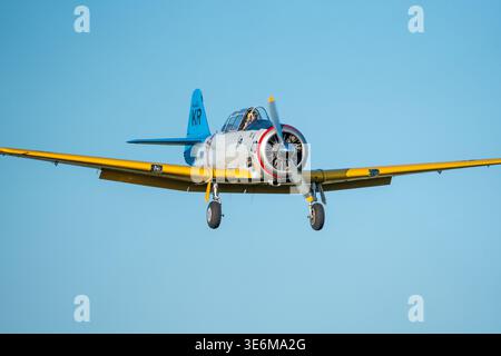 Tiro ad angolo basso di un velivolo da addestramento giallo d'epoca con elica rotante e carrello di atterraggio esteso in avvicinamento su un cielo azzurro limpido in una mostra aerea, Foto Stock