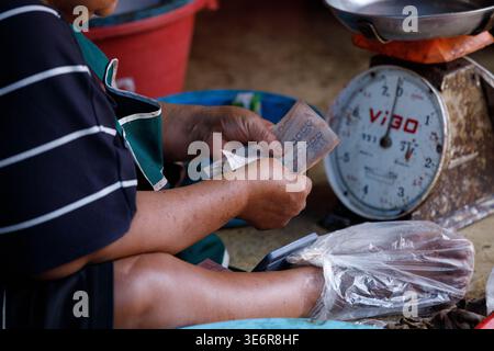 SAMUT SONGKHRAM, THAILAND-Mar 28, 2026: Hands of fish market vendor counting banconote, Cultural Street market commerce in Asia, close up, a Maeklong Foto Stock