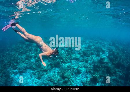 Donna che fa snorkeling sott'acqua con pinne e maschera che nuota sopra la barriera corallina nell'oceano azzurro con riflessi della luce del sole. Foto Stock