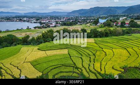 Vista aerea dei campi di riso terrazzati sulle pendici del lago Toba, Sumatra settentrionale Foto Stock