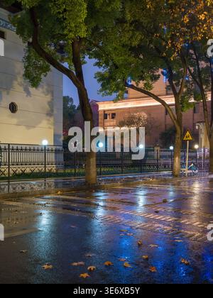 Strada bagnata e lastricata, ricoperta di foglie autunnali cadute che riflettono vibranti luci blu e calde gialle della città di notte. La scena rappresenta gli atmo autunnali Foto Stock