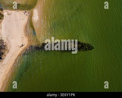 Vista aerea dall'alto della costa sabbiosa e delle verdi acque costiere con molo di roccia a Long Island, New York, Stati Uniti. Foto Stock