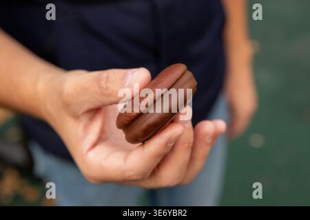 Due strati di pan di Spagna con uno strato di marshmallow o souffle, ricoperti di glassa di cioccolato. pan di spagna rotondo con cioccolato o biscotti al cioccolato nell'uomo Foto Stock