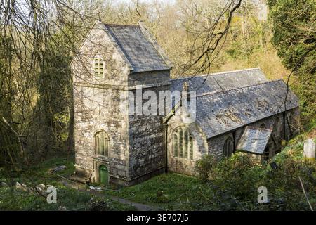 Antica chiesa parrocchiale normanna nel bosco di Minster, Boscastle, Cornovaglia, Inghilterra, Regno Unito Foto Stock
