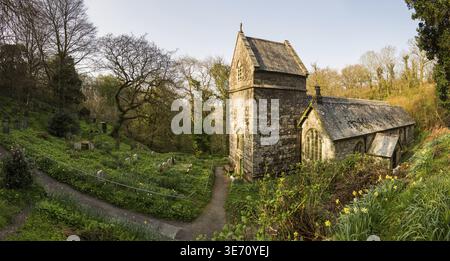 Antica chiesa parrocchiale normanna nel bosco di Minster, Boscastle, Cornovaglia, Inghilterra, Regno Unito Foto Stock