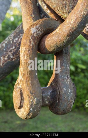 Dettaglio delle maglie arrugginite della catena su una grande ancora usata come decorazione in un giardino tropicale con palme Foto Stock