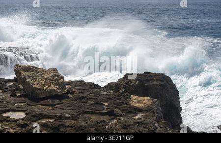 Grandi onde si infrangono sul litorale di Ka'ena Point, sull'estrema costa occidentale di Oahu, alle Hawaii Foto Stock