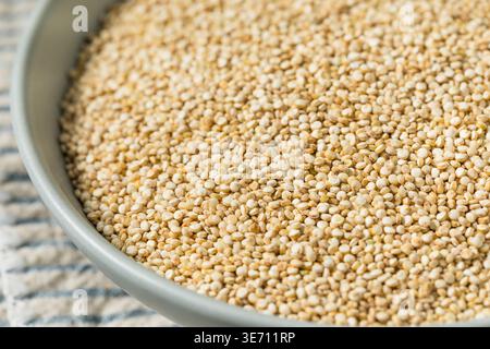 Grano bianco secco secco biologico Qunoa in una ciotola da cuocere Foto Stock