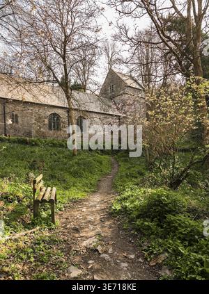 Antica chiesa parrocchiale normanna nel bosco di Minster, Boscastle, Cornovaglia, Inghilterra, Regno Unito Foto Stock