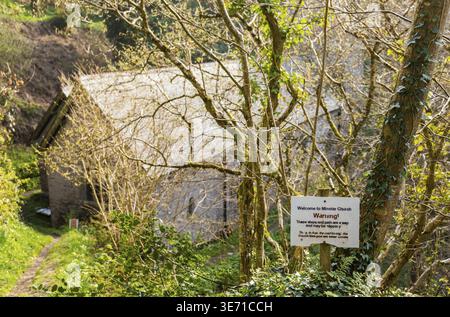 Antica chiesa parrocchiale normanna nel bosco di Minster, Boscastle, Cornovaglia, Inghilterra, Regno Unito Foto Stock