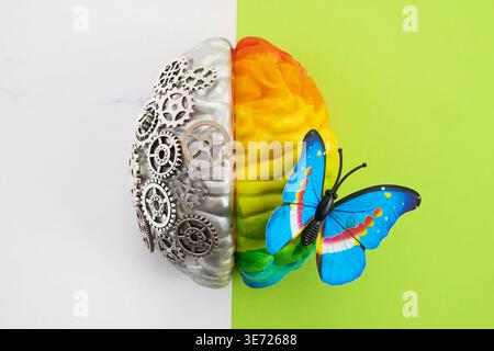 Emisfero cerebrale umano che rappresenta logica e creatività Foto Stock