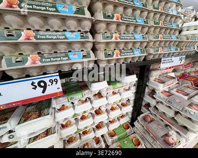 Uova all'aperto in cartoni di cartone in vendita al supermercato australiano Foto Stock