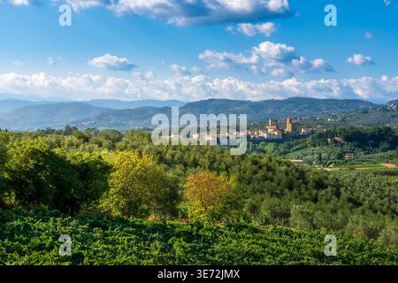 Vista panoramica di Vinci, il luogo di nascita di Leonardo da Vinci. Villaggio storico circondato da vigneti e oliveti, Firenze, Toscana, Italia Foto Stock