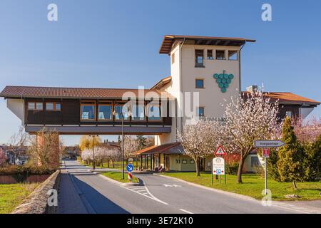 Haus der Deutschen Weinstrasse a Bockenheim lungo la strada del vino tedesca, circondata da mandorli in fiore, Renania-Palatinato, Germania Foto Stock