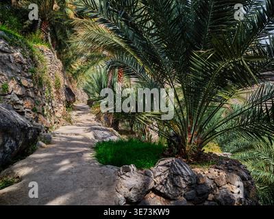 Una passeggiata attraverso lo storico villaggio museale di Misfat al Abriyyin, Oman Foto Stock