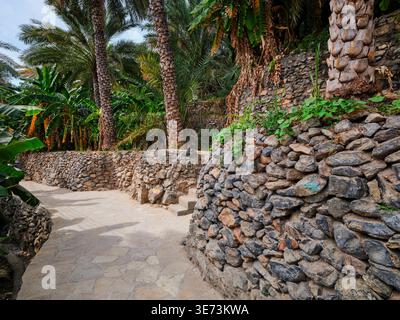 Una passeggiata attraverso lo storico villaggio museale di Misfat al Abriyyin, Oman Foto Stock