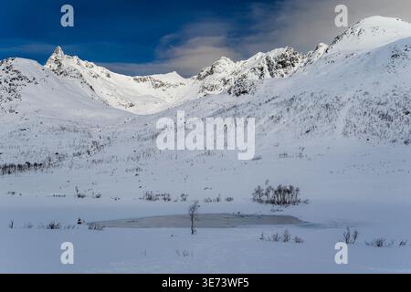 Panorama innevato, Kattfjordvatnet, Troms, Norvegia Foto Stock