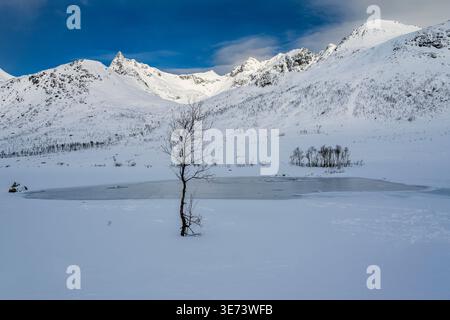 Panorama innevato, Kattfjordvatnet, Troms, Norvegia Foto Stock