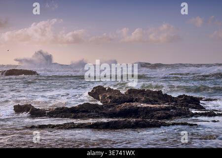Surf a Essaouira Foto Stock