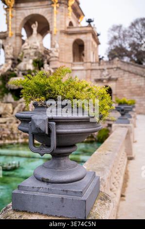 Elegante urna da giardino in ghisa con la felce di asparagi e fontana barocca sullo sfondo del Parco di Barcellona Foto Stock