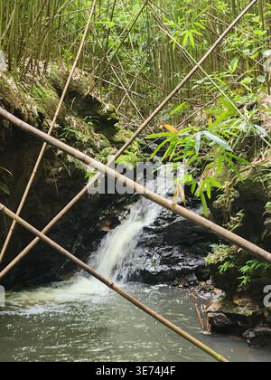 Cascata South Maui Foto Stock