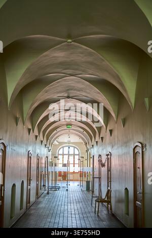 Un lungo corridoio vuoto con una serie di volte a crociera ripetute che formano un soffitto ad arco ritmico in un verde salvia spento. Le pareti presentano molteplici Foto Stock