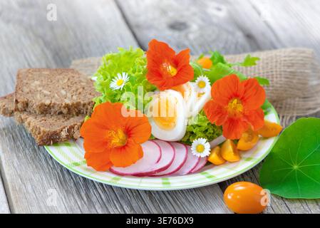 Insalata fresca con uova sode, pomodori a fette e ravanelli, servita con pane integrale e guarnita con nasturtium e fiori di mais Foto Stock