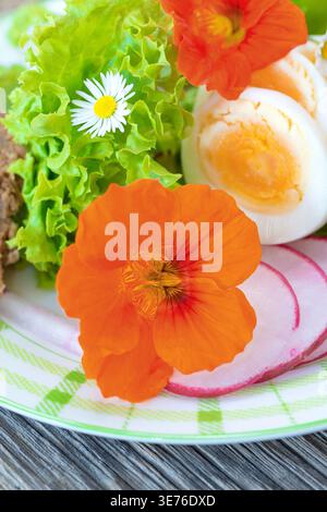 Insalata fresca con uova sode, ravanelli a fette, servita con pane integrale e guarnita con nasturtium e fiori di mais Foto Stock