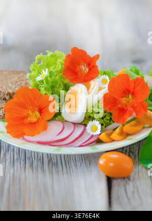 Insalata fresca con uova sode, pomodori a fette e ravanelli, servita con pane integrale e guarnita con nasturtium e fiori di mais Foto Stock